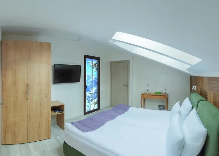 Bfamilyhouse 木屋